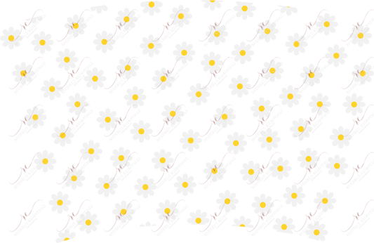 Daisies- Cold Cup Wrap Cold