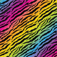 Neon Zebra - Ready To Press Sublimation Transfer Print Seamless 2/24 Sublimation