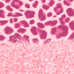 Pink Leopard Glitter - Vinyl Pen Wrap