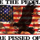 We The People Are Pissed Off - Ready To Press Sublimation Transfer Print Sublimation